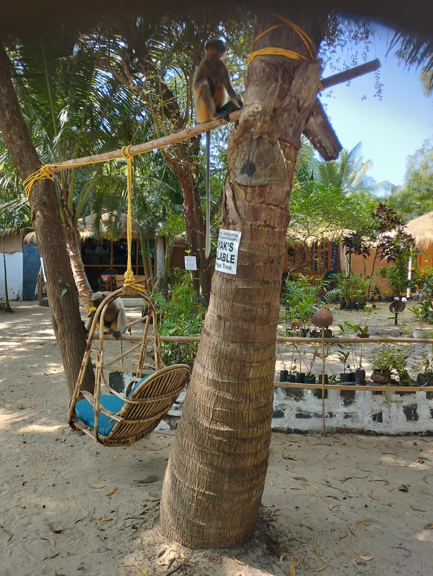 Yoga Culture Palolem Exterior foto