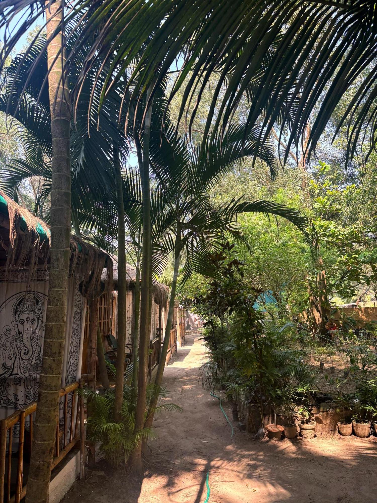 Yoga Culture Palolem Exterior foto