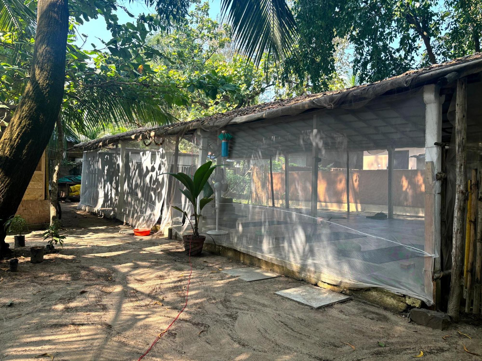 Yoga Culture Palolem Exterior foto